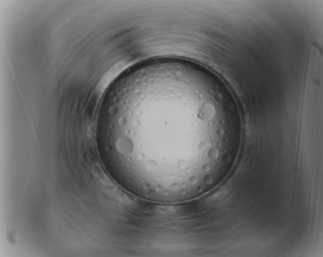 X0000103501529200809191934