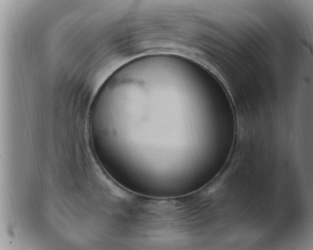 X0000103501533200809191934