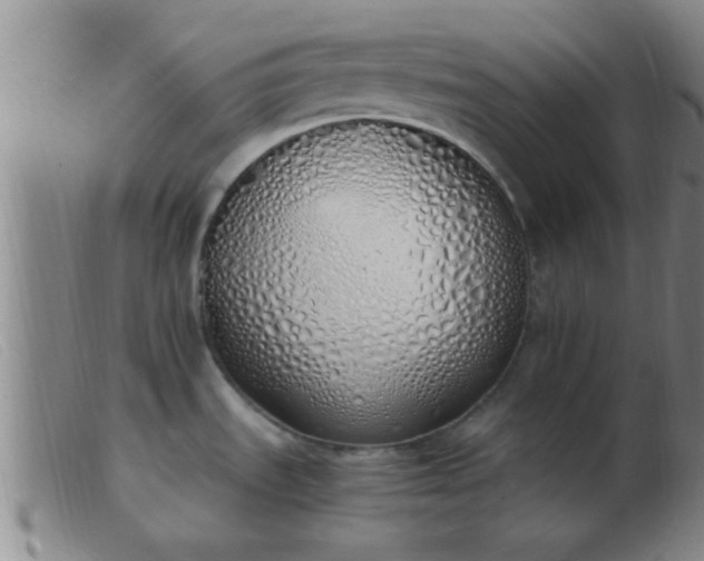 X0000103501535200809191934