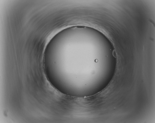 X0000103501536200809191934