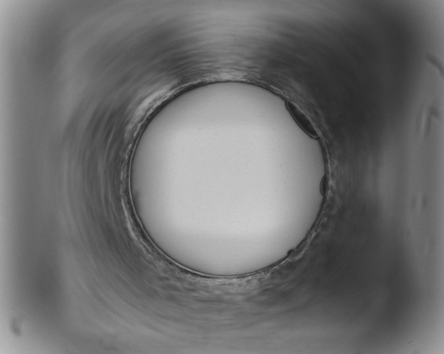 X0000103500001200809262024