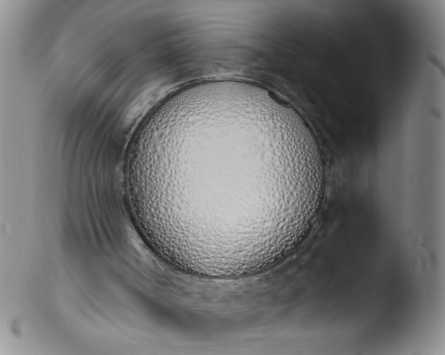 X0000103500002200809262024