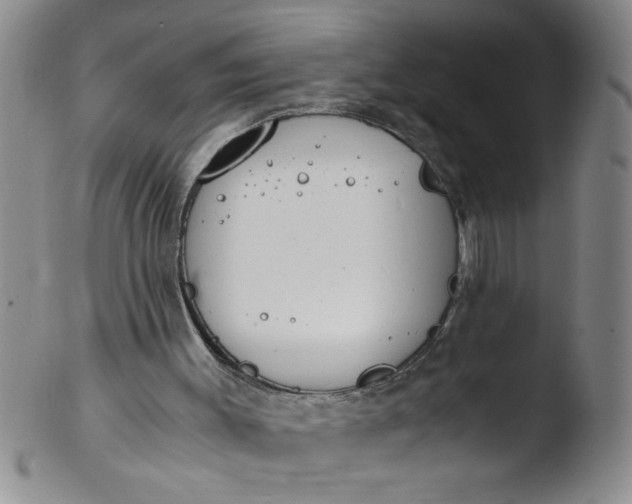 X0000103500003200809262024