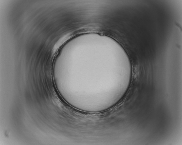 X0000103500004200809262024