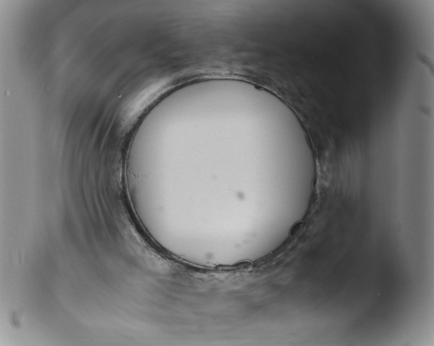 X0000103500005200809262024