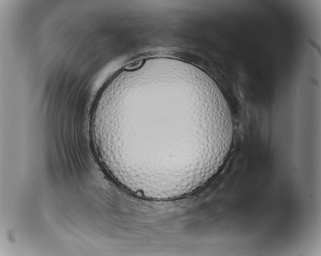 X0000103500006200809262024