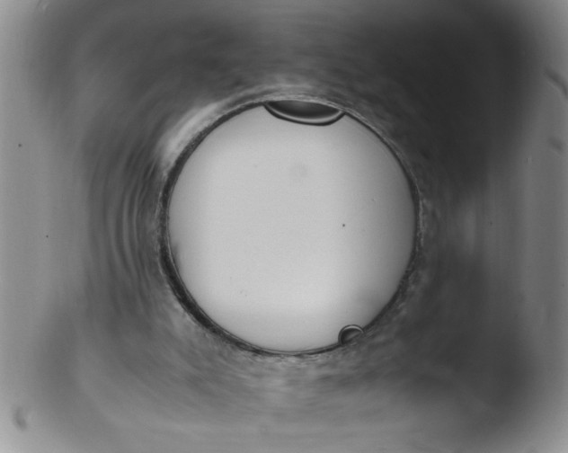 X0000103500007200809262024