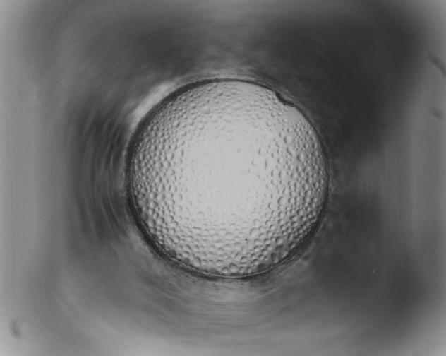 X0000103500008200809262024