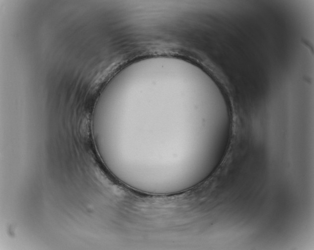 X0000103500009200809262024