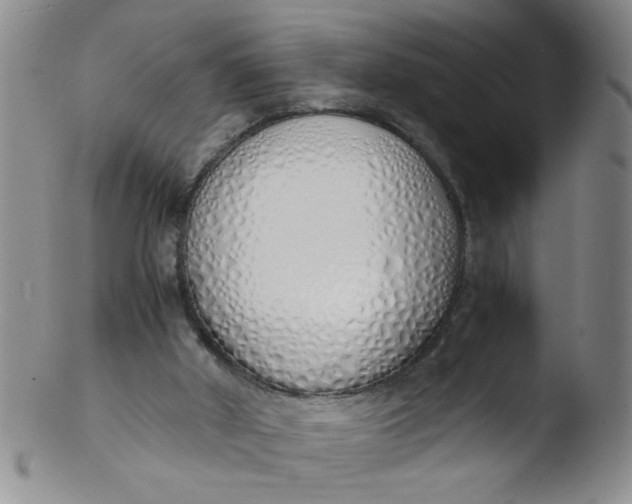 X0000103500010200809262024