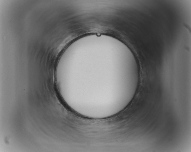 X0000103500011200809262024