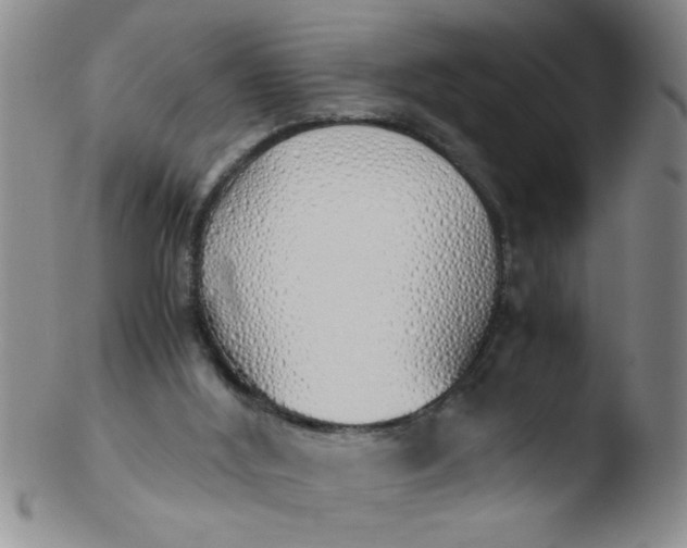 X0000103500012200809262024