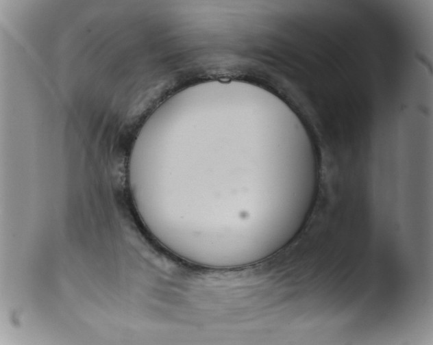 X0000103500017200809262024