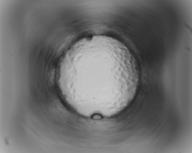 X0000103500018200809262024