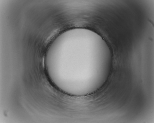 X0000103500019200809262024