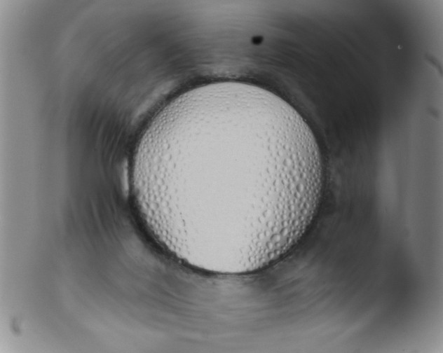 X0000103500020200809262024