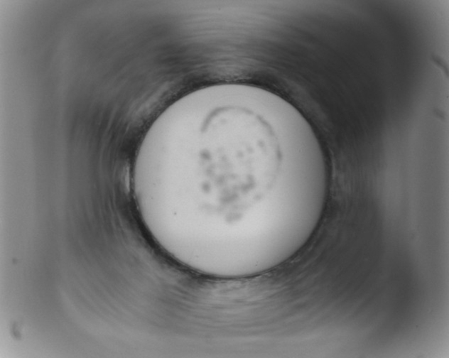 X0000103500021200809262024