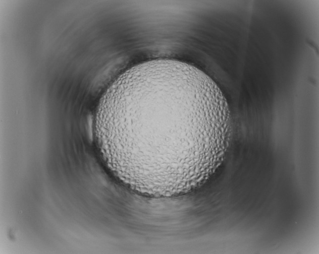 X0000103500022200809262024