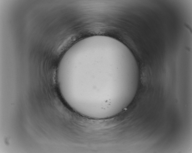 X0000103500023200809262024