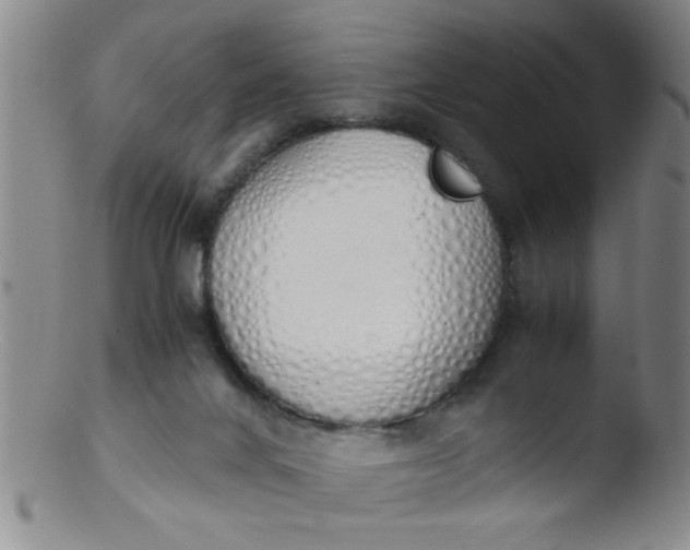 X0000103500024200809262024