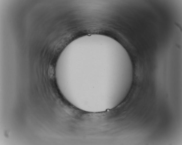 X0000103500025200809262024