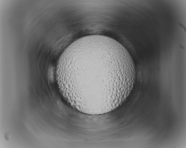 X0000103500026200809262024