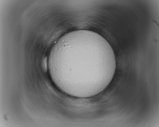 X0000103500028200809262024