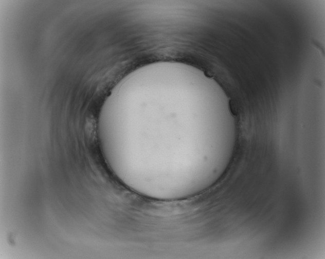 X0000103500029200809262024