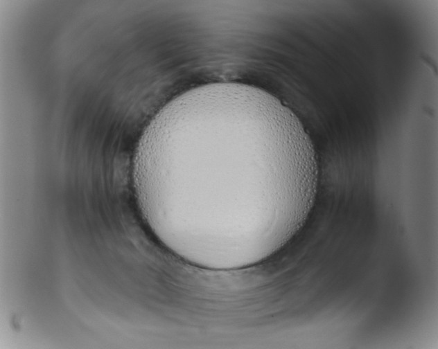 X0000103500030200809262024