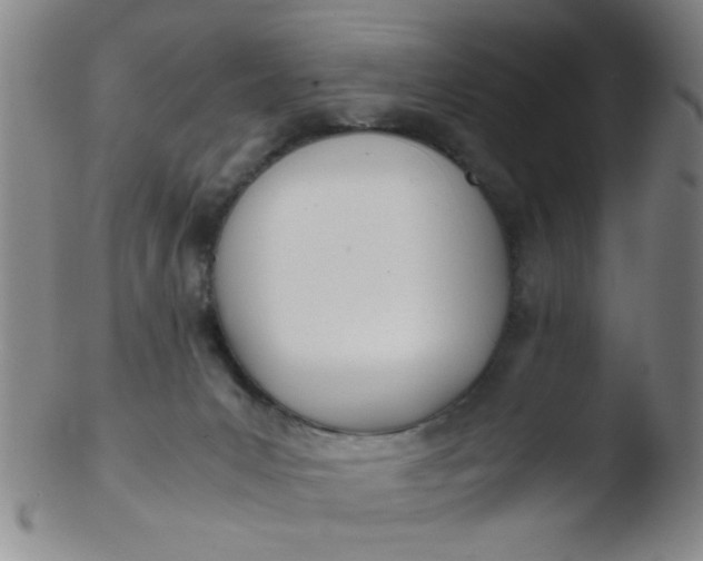 X0000103500031200809262024