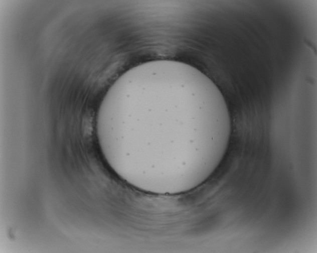 X0000103500032200809262024