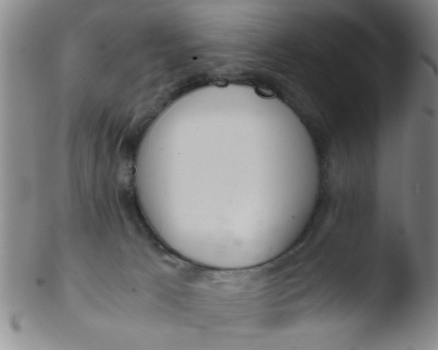 X0000103500033200809262024