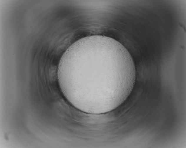 X0000103500034200809262024