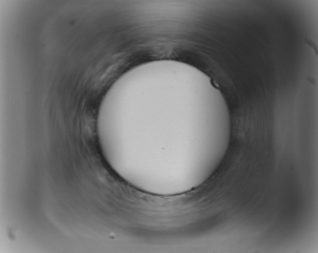 X0000103500035200809262024