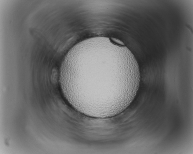 X0000103500036200809262024