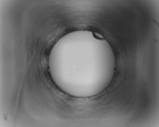 X0000103500037200809262024