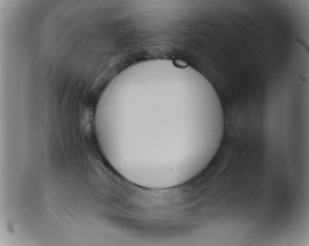 X0000103500038200809262024