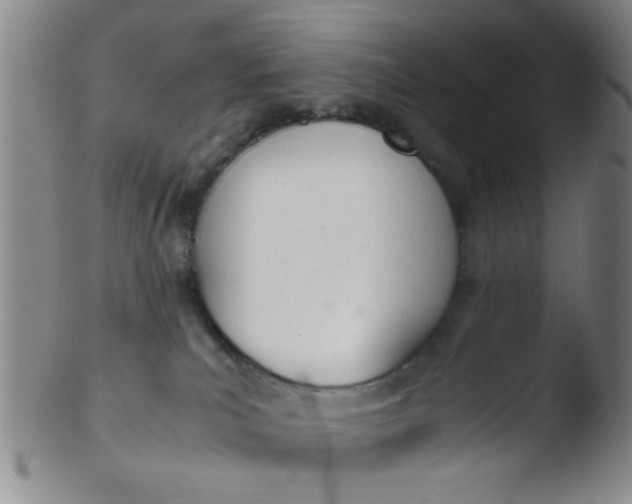 X0000103500039200809262024