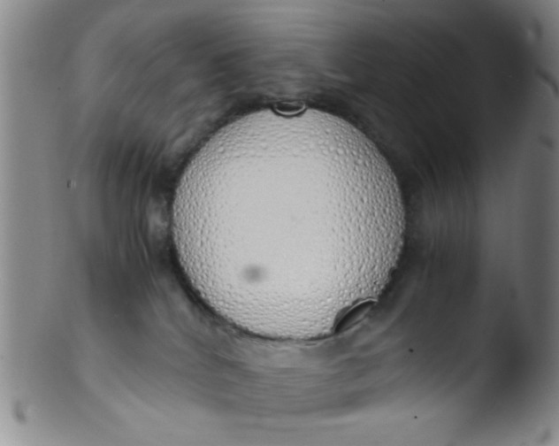 X0000103500040200809262024