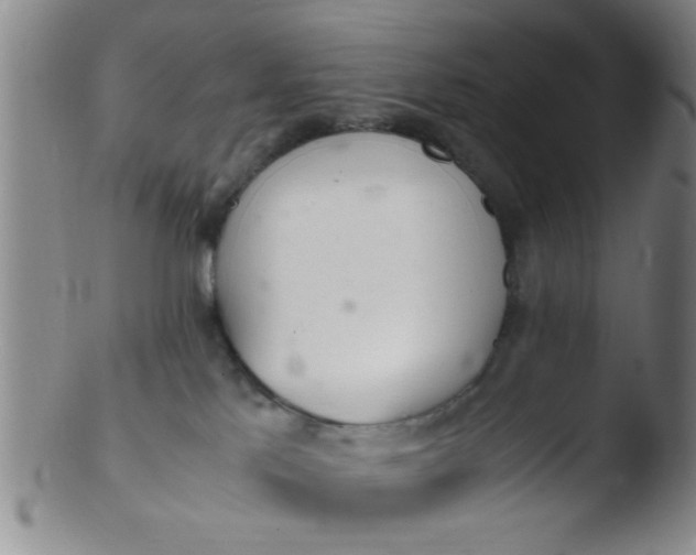 X0000103500041200809262024