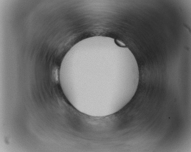 X0000103500042200809262024