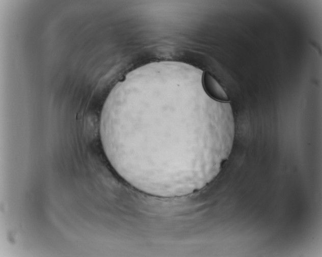 X0000103500043200809262024