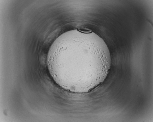 X0000103500044200809262024