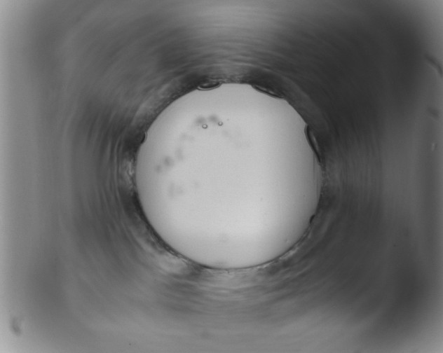 X0000103500045200809262024