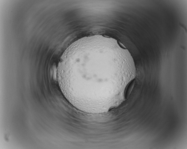 X0000103500046200809262024