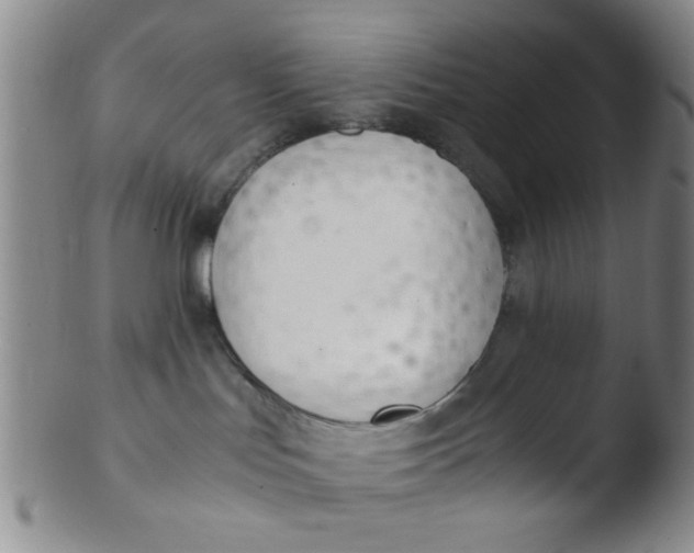 X0000103500047200809262024