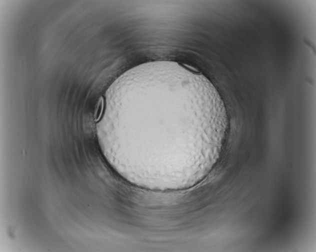 X0000103500048200809262024