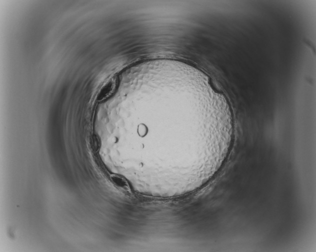 X0000103500049200809262023