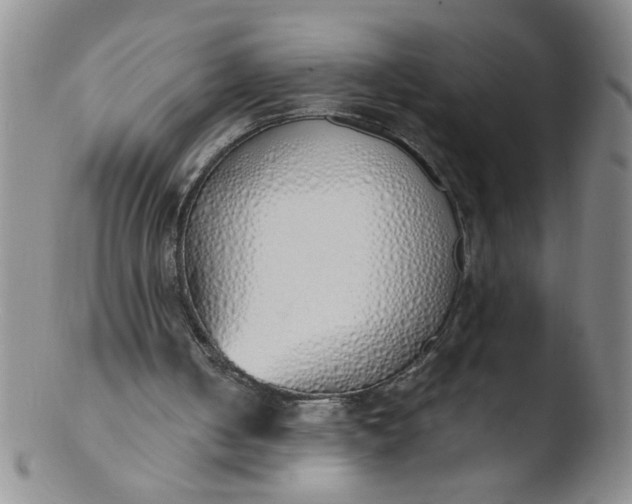 X0000103500050200809262023