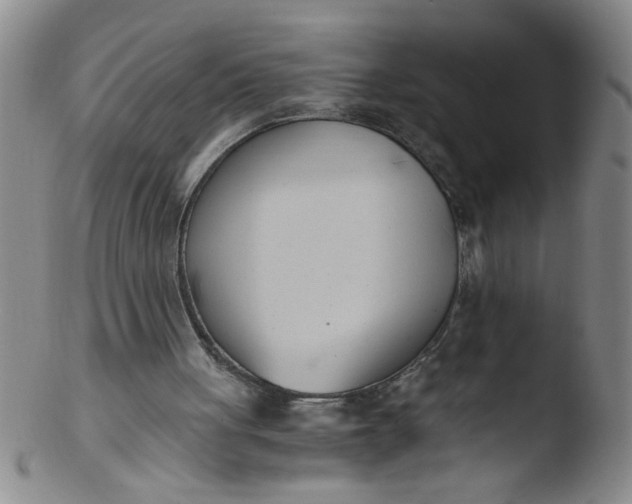 X0000103500051200809262023